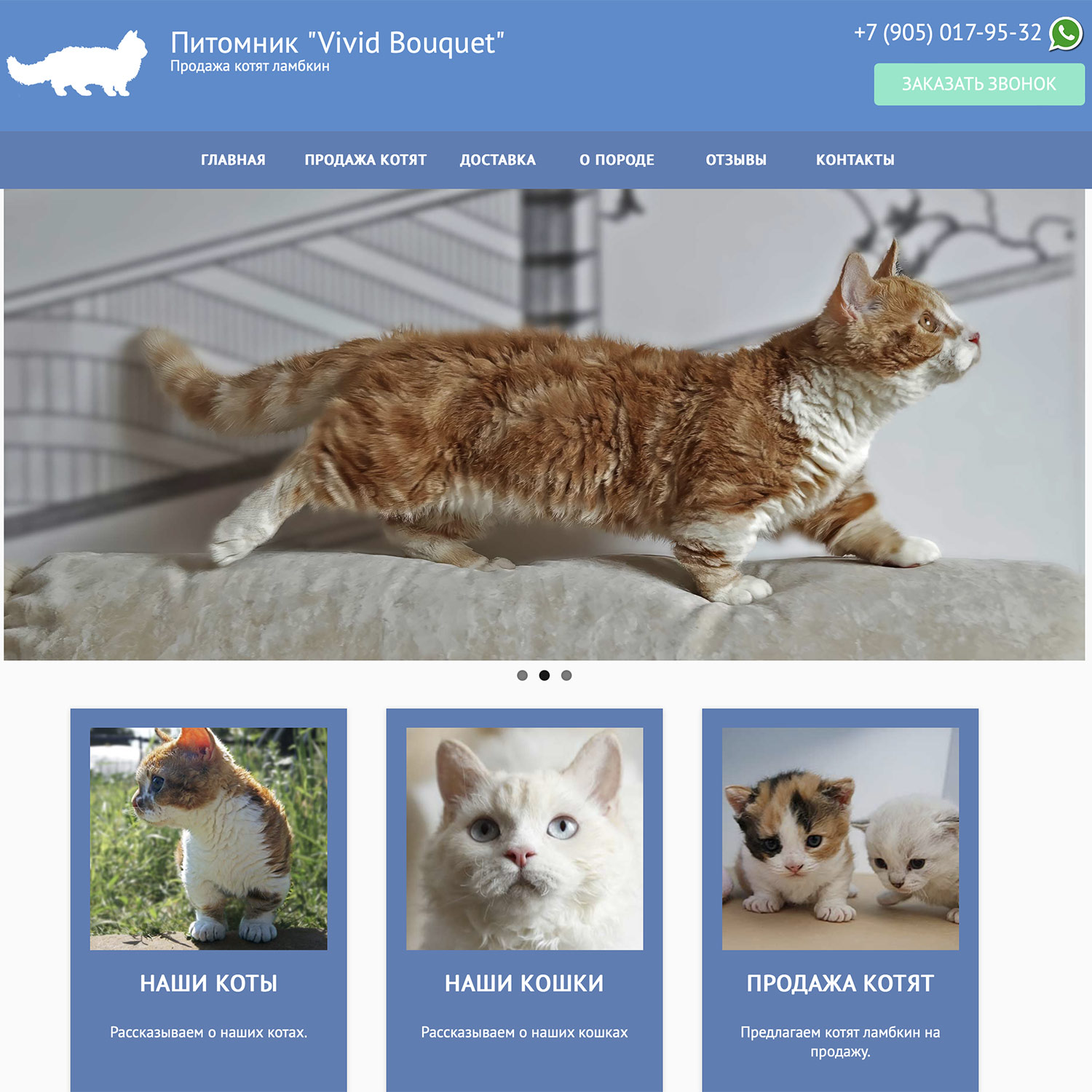 Сайт питомника кошек Vivid Bouquet