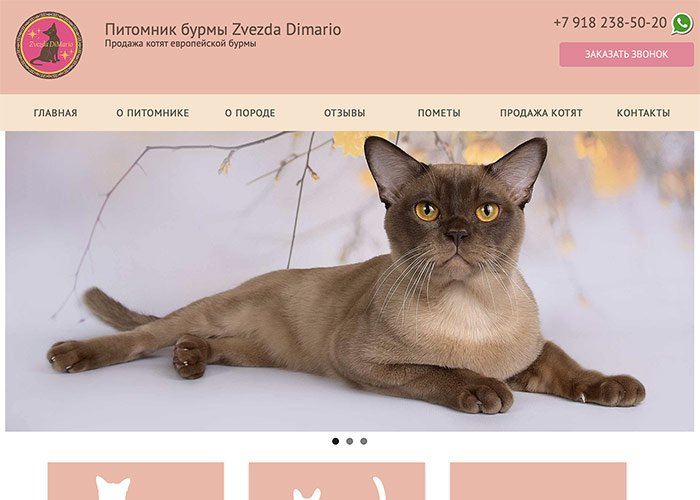 Сайт для питомника кошек Zvezda Dimario
