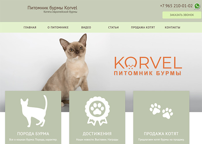 Сайт питомника кошек Korvel